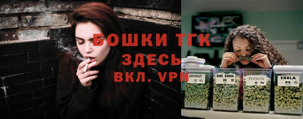 ПСИЛОЦИБИНОВЫЕ ГРИБЫ Аркадак