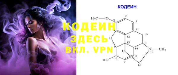 шишки Козельск