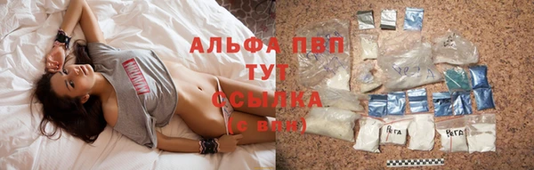 сатива Армянск